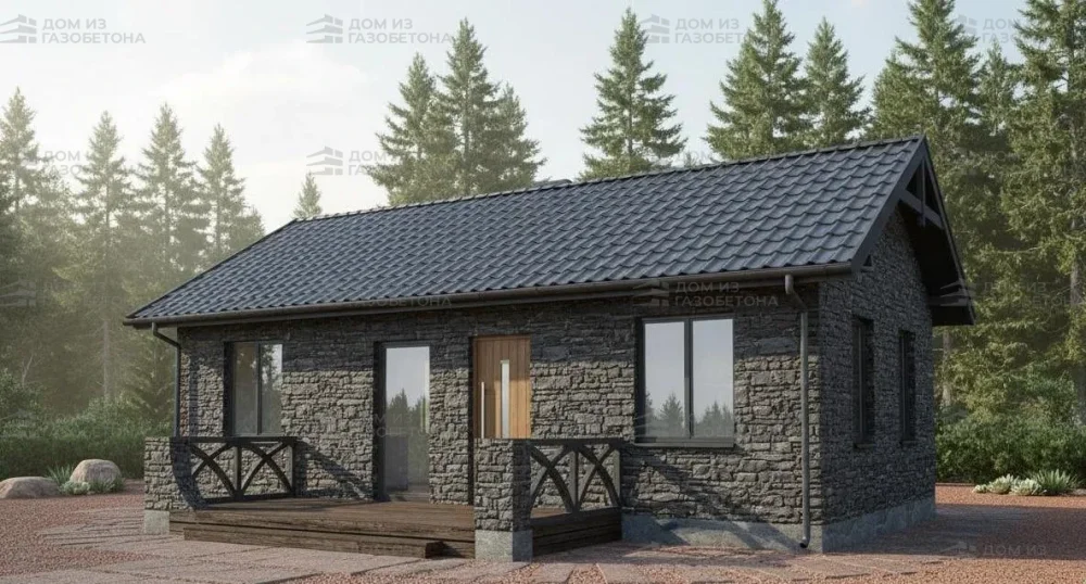 Проект Одноэтажный дом 10 на 6, 49 м2